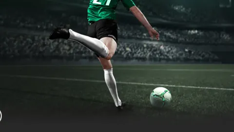 烏克蘭0-1負於奧地利，歐洲杯C組第3輪鲍姆加特纳首球，阿瑙錯失良機