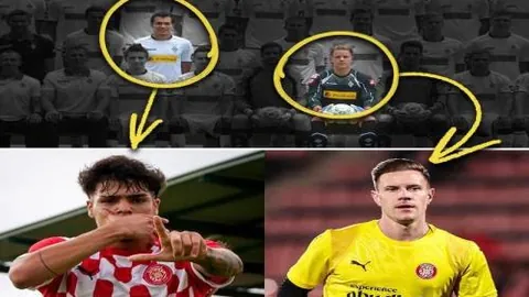 kaiyun·开云（中国）