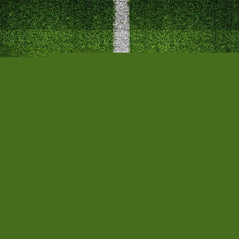 的关注
